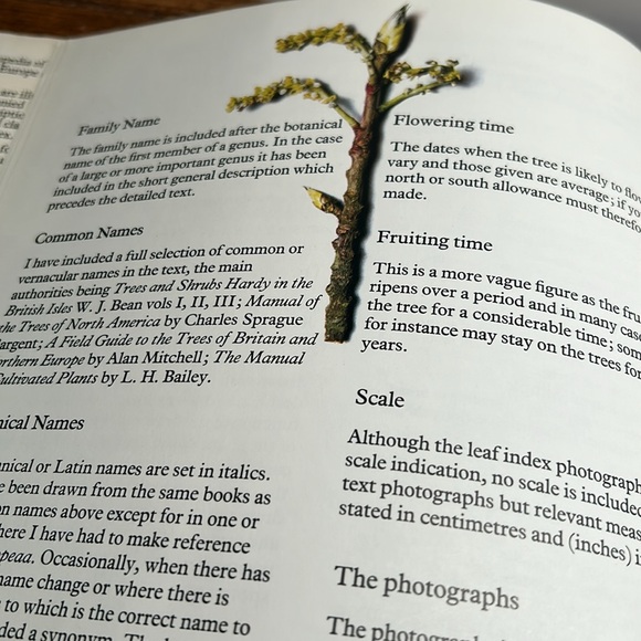 Vintage Hardcover Book 1978 Edition Trees In Britain, Europe And North America - Picture 6 of 16